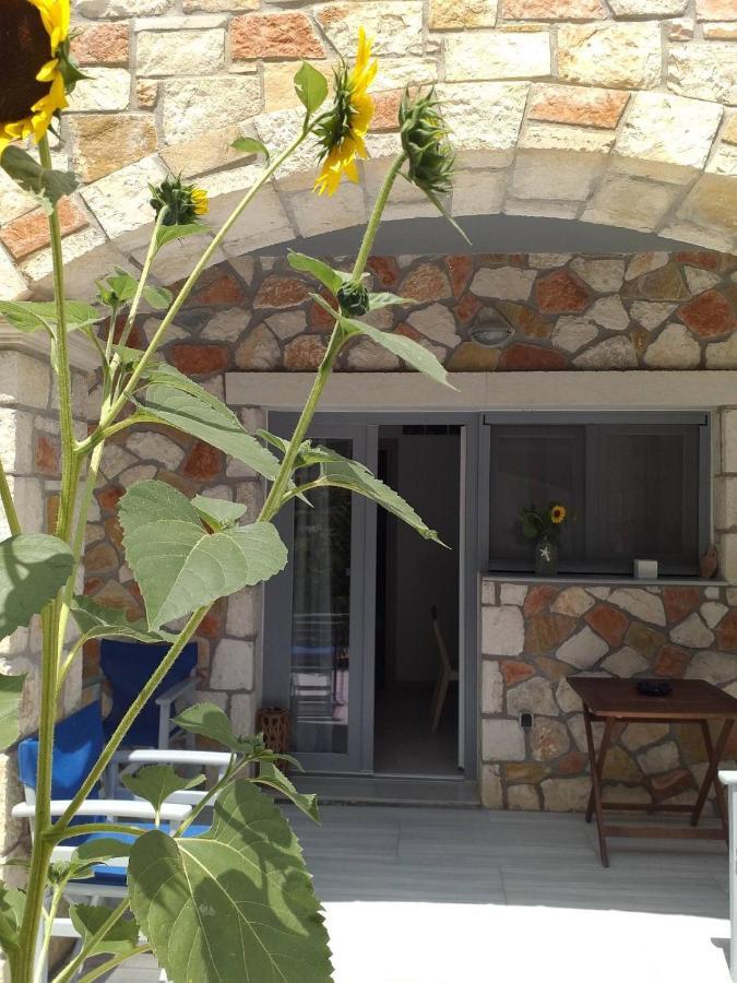 אליקס Golden Dolphin Studios & Apartments מראה חיצוני תמונה