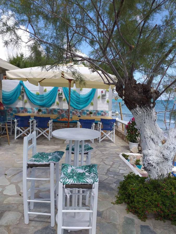 אליקס Golden Dolphin Studios & Apartments מראה חיצוני תמונה